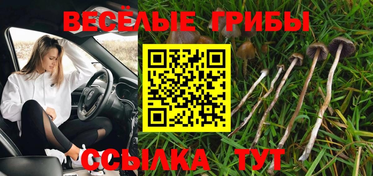 Галлюциногенные грибы Cubensis  Вход с VPN  Гуково 